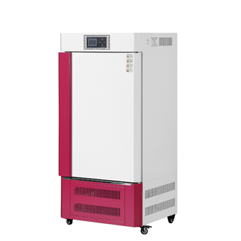 智能款霉菌培养箱