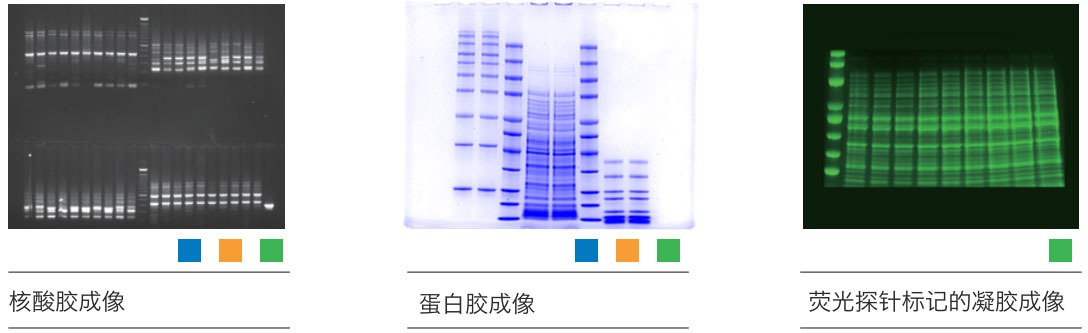 Tanon 多功能凝膠圖像分析系統(tǒng)