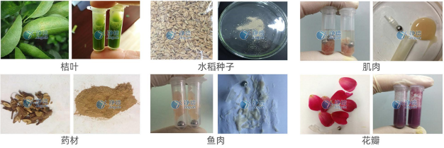 高速组织研磨仪