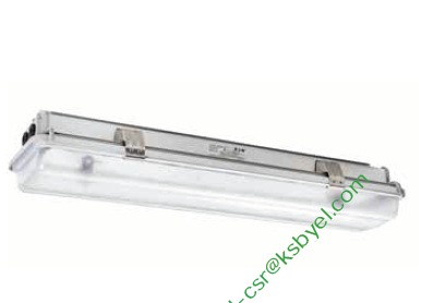 COOPER LED灯PLLE-4-C2-5L-EM1-1/6-220-N